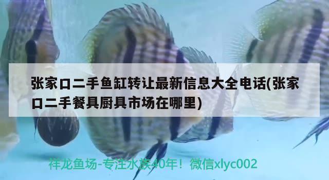 张家口二手鱼缸转让最新信息大全电话(张家口二手餐具厨具市场在哪里) 观赏鱼企业目录