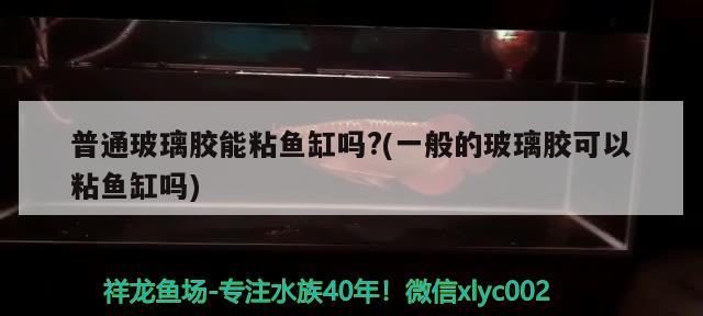 普通玻璃胶能粘鱼缸吗?(一般的玻璃胶可以粘鱼缸吗)