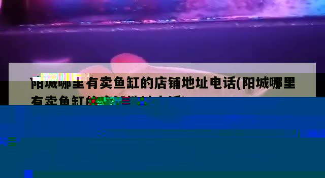 玻璃胶粘的鱼缸多久可以养小鱼吃(玻璃胶粘鱼缸多久可以放鱼) 印尼三纹虎