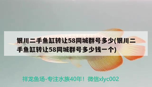 银川二手鱼缸转让58同城群号多少(银川二手鱼缸转让58同城群号多少钱一个)