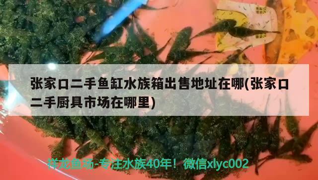 张家口二手鱼缸水族箱出售地址在哪(张家口二手厨具市场在哪里) 鱼缸/水族箱