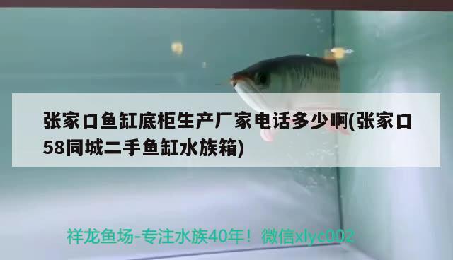 张家口鱼缸底柜生产厂家电话多少啊(张家口58同城二手鱼缸水族箱) 鱼缸/水族箱