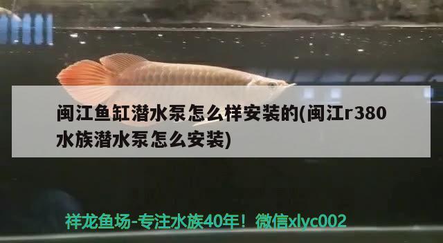 闽江鱼缸潜水泵怎么样安装的(闽江r380水族潜水泵怎么安装) 鱼缸清洁用具