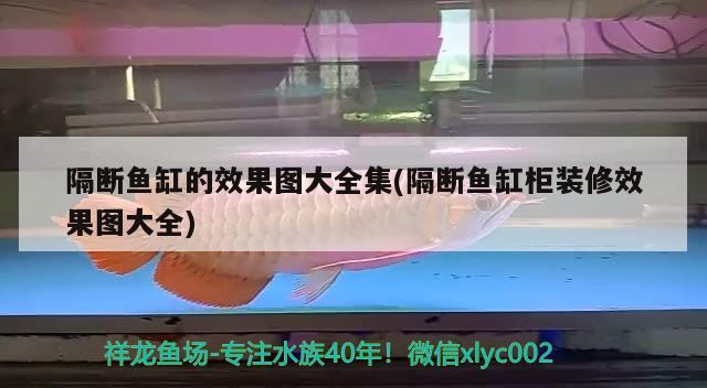 隔断鱼缸的效果图大全集(隔断鱼缸柜装修效果图大全) iwish爱唯希品牌鱼缸