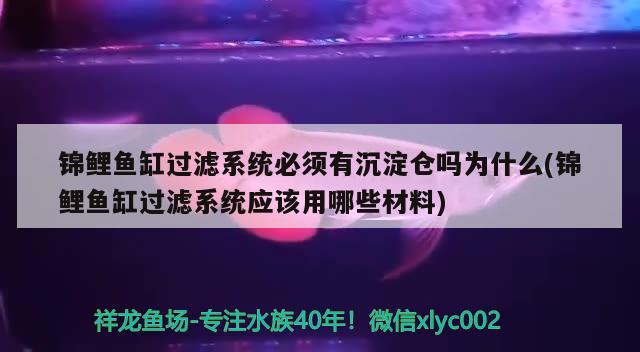 锦鲤鱼缸过滤系统必须有沉淀仓吗为什么(锦鲤鱼缸过滤系统应该用哪些材料) 大白鲨鱼苗