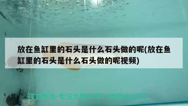 放在鱼缸里的石头是什么石头做的呢(放在鱼缸里的石头是什么石头做的呢视频)