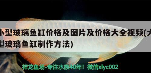 小型玻璃鱼缸价格及图片及价格大全视频(大型玻璃鱼缸制作方法) 细线银版鱼