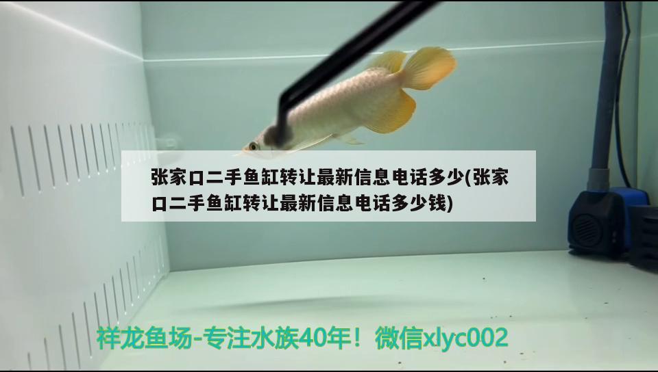 张家口二手鱼缸转让最新信息电话多少(张家口二手鱼缸转让最新信息电话多少钱)