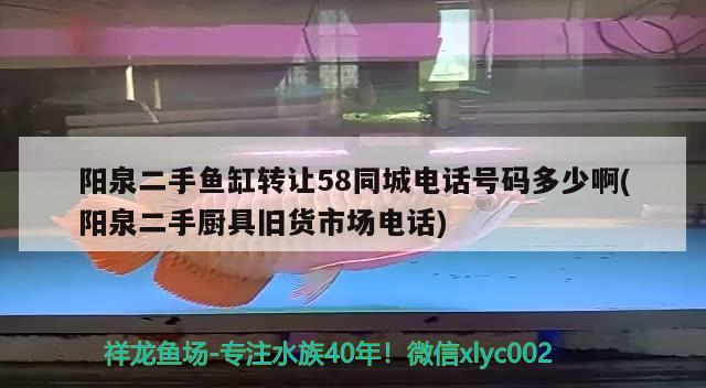 阳泉二手鱼缸转让58同城电话号码多少啊(阳泉二手厨具旧货市场电话)