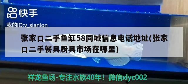 张家口二手鱼缸58同城信息电话地址(张家口二手餐具厨具市场在哪里) 三间鼠鱼