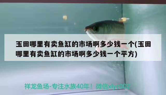 玉田哪里有卖鱼缸的市场啊多少钱一个(玉田哪里有卖鱼缸的市场啊多少钱一个平方) 水族维护服务（上门） 第3张