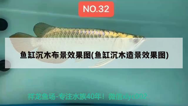 鱼缸沉木布景效果图(鱼缸沉木造景效果图) 水族灯（鱼缸灯）