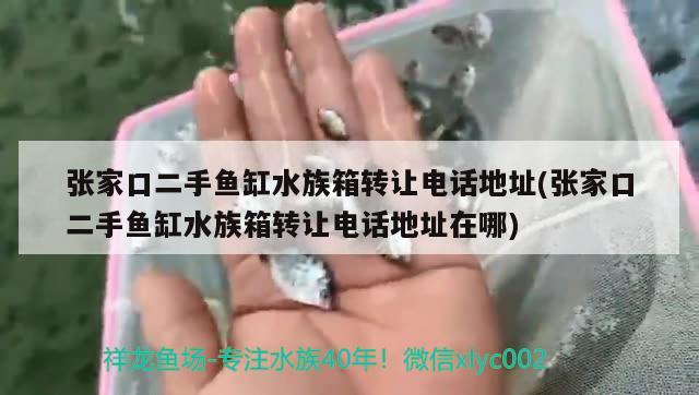 张家口二手鱼缸水族箱转让电话地址(张家口二手鱼缸水族箱转让电话地址在哪) 鱼缸/水族箱