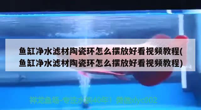 鱼缸净水滤材陶瓷环怎么摆放好看视频教程(鱼缸净水滤材陶瓷环怎么摆放好看视频教程)