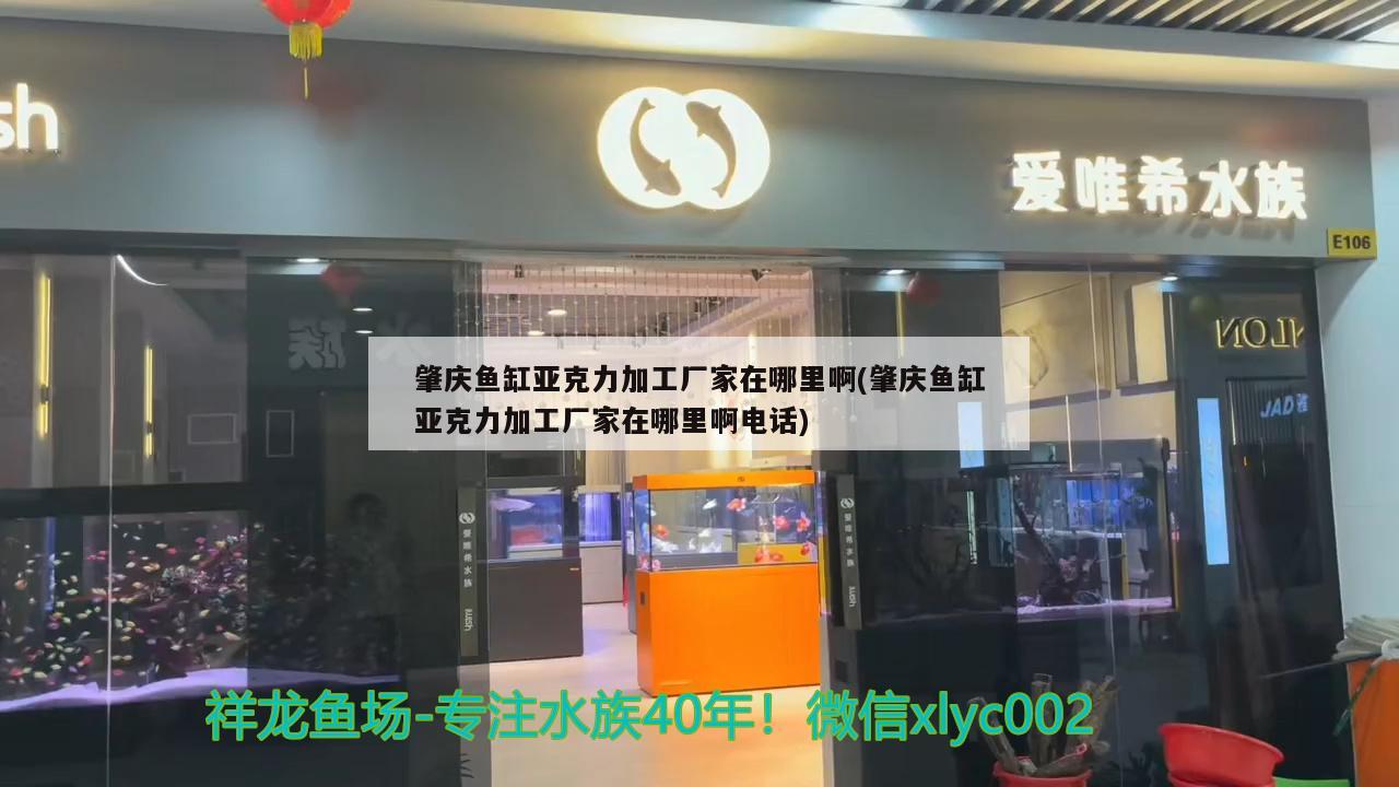 肇庆鱼缸亚克力加工厂家在哪里啊(肇庆鱼缸亚克力加工厂家在哪里啊电话)