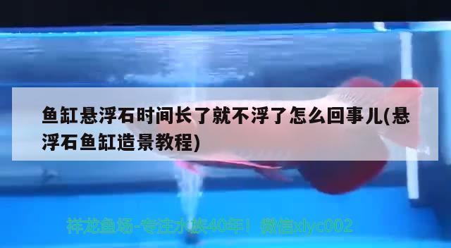 鱼缸悬浮石时间长了就不浮了怎么回事儿(悬浮石鱼缸造景教程) 胭脂孔雀龙鱼