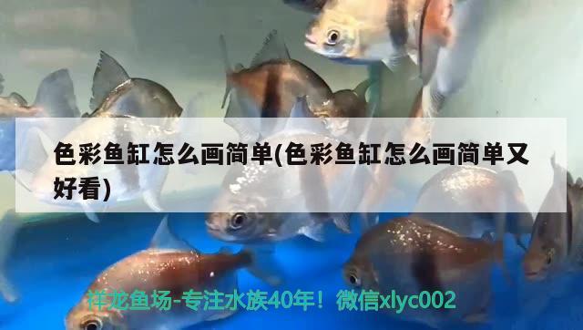 色彩鱼缸怎么画简单(色彩鱼缸怎么画简单又好看)