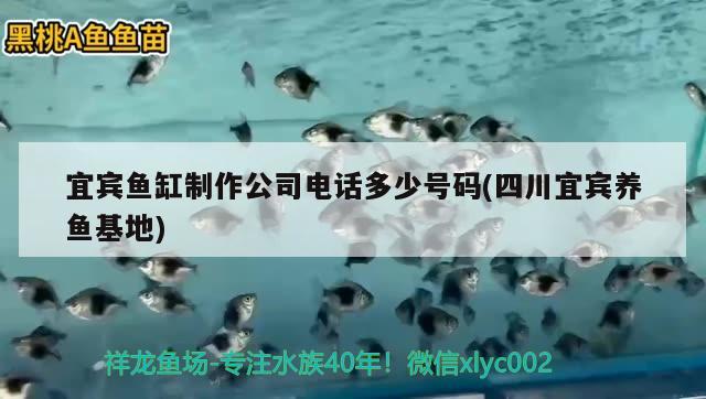 宜宾鱼缸制作公司电话多少号码(四川宜宾养鱼基地) 祥龙水族滤材/器材