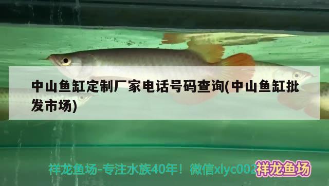 中山鱼缸定制厂家电话号码查询(中山鱼缸批发市场) 二氧化碳设备