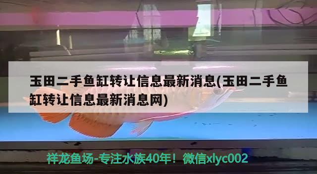 玉田二手鱼缸转让信息最新消息(玉田二手鱼缸转让信息最新消息网) 广州观赏鱼鱼苗批发市场