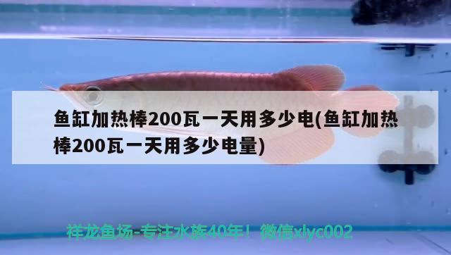 鱼缸加热棒200瓦一天用多少电(鱼缸加热棒200瓦一天用多少电量) 埃及神仙鱼