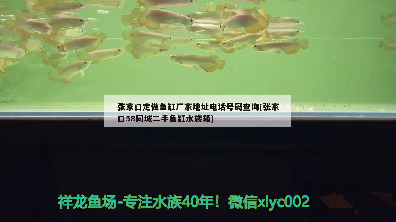 张家口定做鱼缸厂家地址电话号码查询(张家口58同城二手鱼缸水族箱)