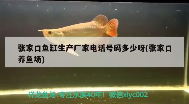 张家口鱼缸生产厂家电话号码多少呀(张家口养鱼场) 细线银版鱼 第2张