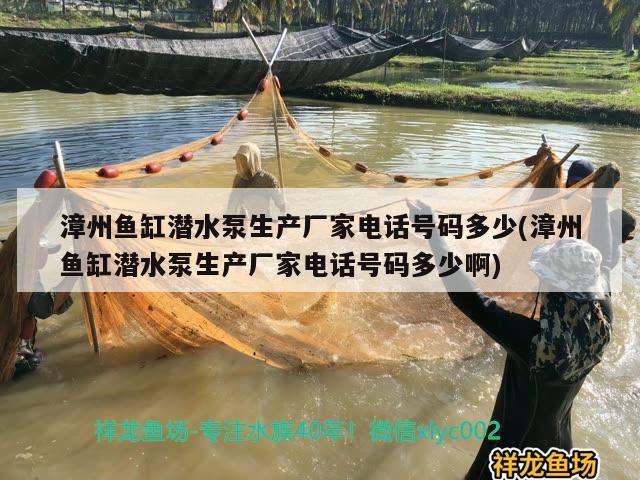 漳州鱼缸潜水泵生产厂家电话号码多少(漳州鱼缸潜水泵生产厂家电话号码多少啊)