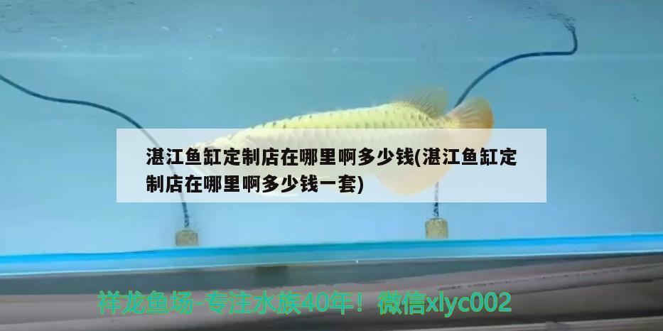 湛江鱼缸定制店在哪里啊多少钱(湛江鱼缸定制店在哪里啊多少钱一套)