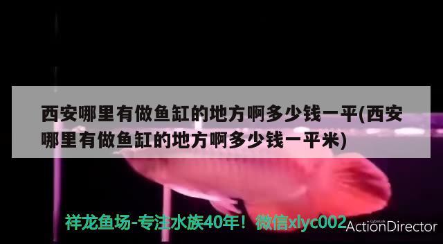 西安哪里有做鱼缸的地方啊多少钱一平(西安哪里有做鱼缸的地方啊多少钱一平米) 招财战船鱼