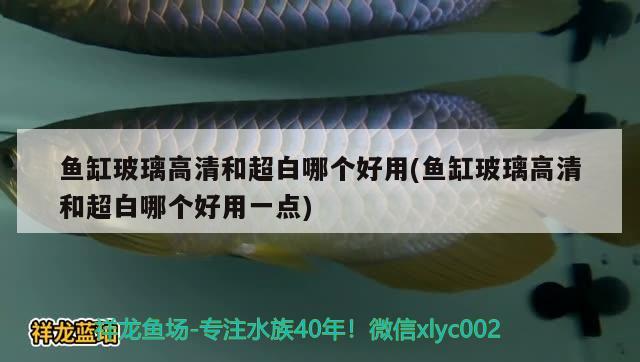 鱼缸玻璃高清和超白哪个好用(鱼缸玻璃高清和超白哪个好用一点)