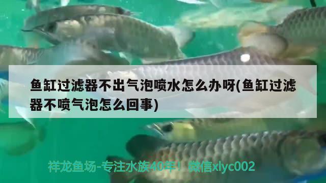 鱼缸过滤器不出气泡喷水怎么办呀(鱼缸过滤器不喷气泡怎么回事)