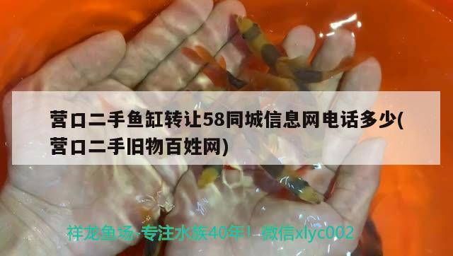 营口二手鱼缸转让58同城信息网电话多少(营口二手旧物百姓网)