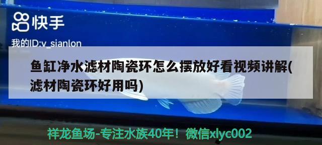 鱼缸净水滤材陶瓷环怎么摆放好看视频讲解(滤材陶瓷环好用吗) 鸭嘴鲨鱼