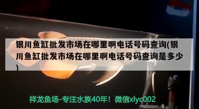 银川鱼缸批发市场在哪里啊电话号码查询(银川鱼缸批发市场在哪里啊电话号码查询是多少)