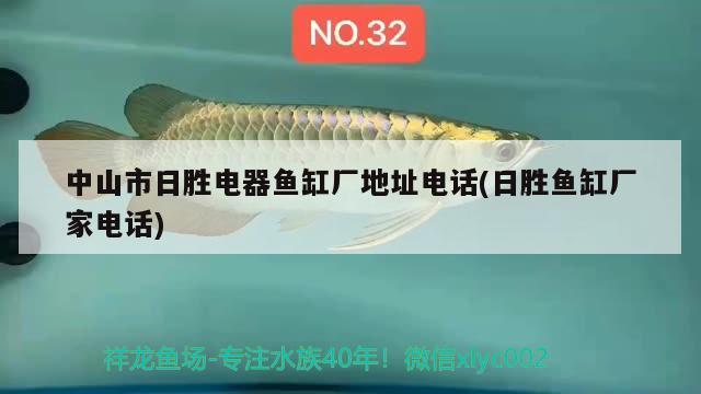 中山市日胜电器鱼缸厂地址电话(日胜鱼缸厂家电话) 福虎/异型虎鱼/纯色虎鱼 第2张