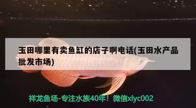 玉田哪里有卖鱼缸的店子啊电话(玉田水产品批发市场) 野生埃及神仙鱼