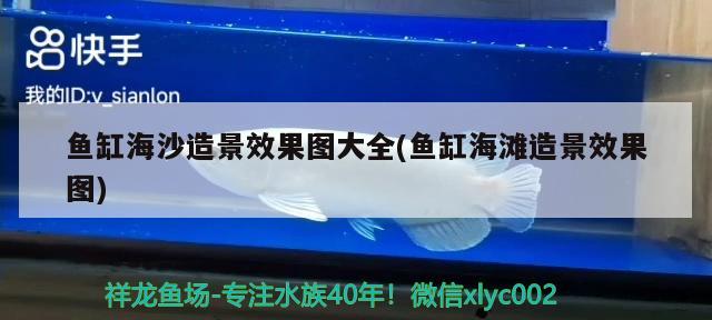 鱼缸海沙造景效果图大全(鱼缸海滩造景效果图) 红勾银版鱼 第2张