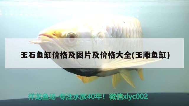 玉石鱼缸价格及图片及价格大全(玉雕鱼缸) 水族用品