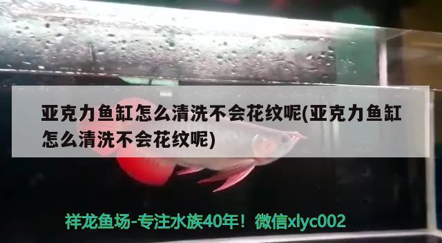 亚克力鱼缸怎么清洗不会花纹呢(亚克力鱼缸怎么清洗不会花纹呢)