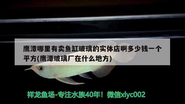 鹰潭哪里有卖鱼缸玻璃的实体店啊多少钱一个平方(鹰潭玻璃厂在什么地方) 白化火箭鱼