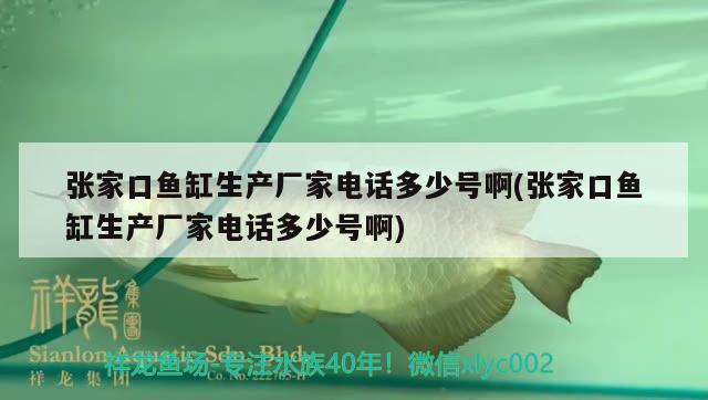 张家口鱼缸生产厂家电话多少号啊(张家口鱼缸生产厂家电话多少号啊)