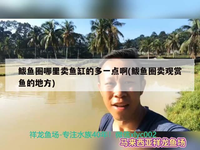 鲅鱼圈哪里卖鱼缸的多一点啊(鲅鱼圈卖观赏鱼的地方) PH调节剂 第3张