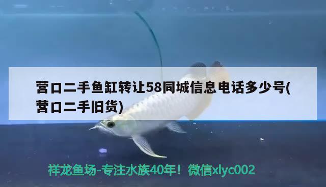 营口二手鱼缸转让58同城信息电话多少号(营口二手旧货) 南美异型鱼