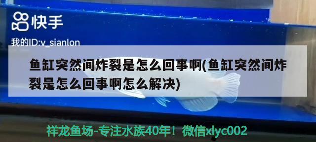 鱼缸突然间炸裂是怎么回事啊(鱼缸突然间炸裂是怎么回事啊怎么解决) 申古三间鱼