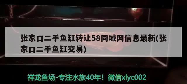 张家口二手鱼缸转让58同城网信息最新(张家口二手鱼缸交易) 黑金魟鱼