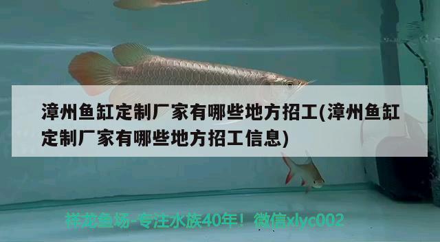 漳州鱼缸定制厂家有哪些地方招工(漳州鱼缸定制厂家有哪些地方招工信息)