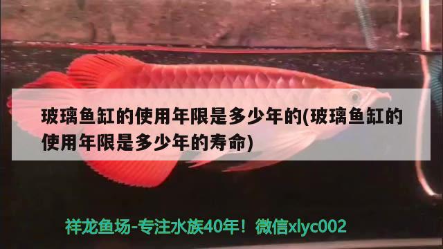 玻璃鱼缸的使用年限是多少年的(玻璃鱼缸的使用年限是多少年的寿命) 野生地图鱼