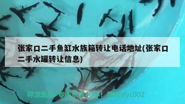 张家口二手鱼缸水族箱转让电话地址(张家口二手水罐转让信息)