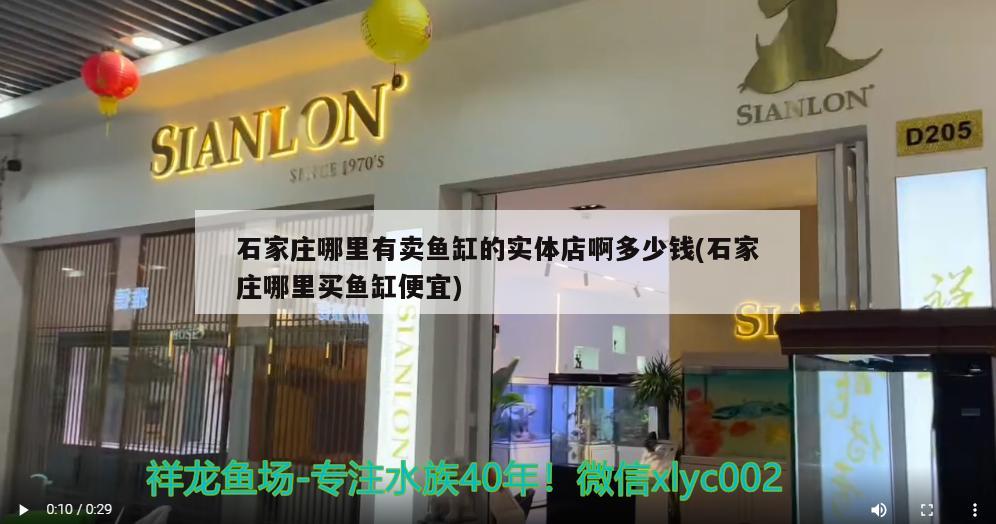 石家庄哪里有卖鱼缸的实体店啊多少钱(石家庄哪里买鱼缸便宜) 银古鱼苗